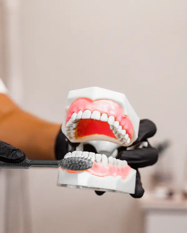 Demonstrating brushing technique